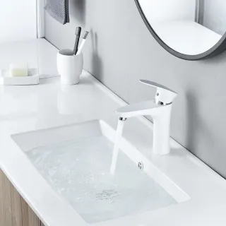 Смеситель для раковины Shevanik S9801F белый/хром